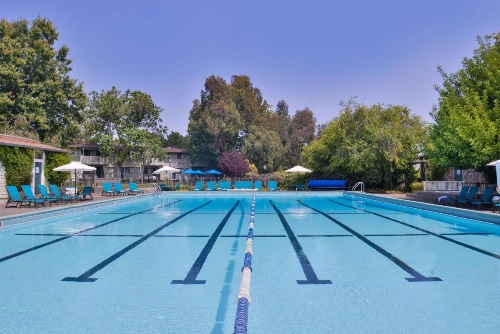 Best Western Corte Madera Inn image 48